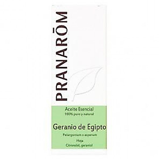 Pranarom aeqt top naturales geranio egipto 10ml